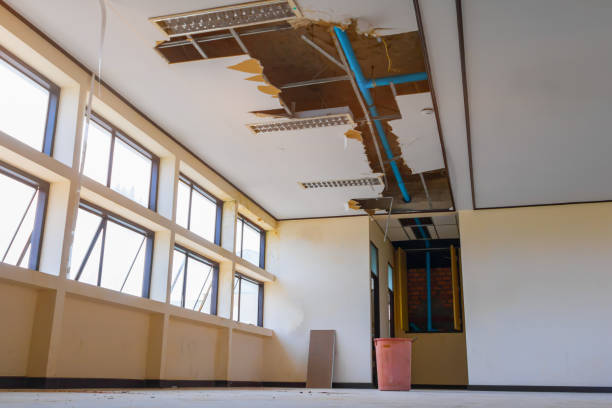 Best Basement water damage restoration  in Firebaugh, CA