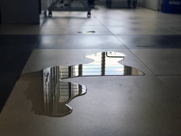 Best Professional water damage repair  in Firebaugh, CA
