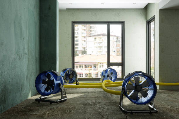 Best Flood restoration services  in Firebaugh, CA